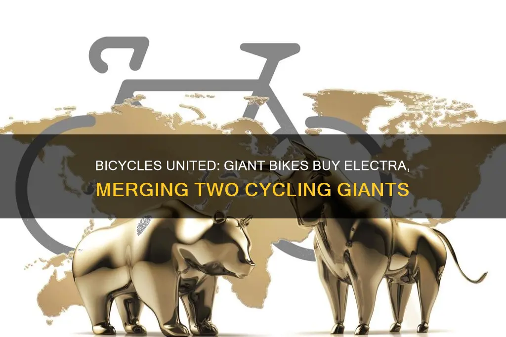 which larger bicycle manufacturer recently acquired electra bicycle company