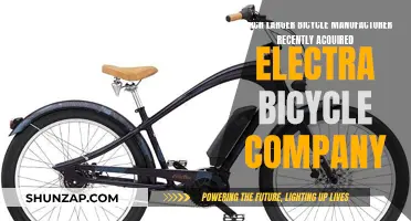 Who Scooped Up Electra Bicycle Company?