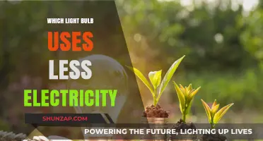 Energy-Efficient Lighting: Which Light Bulb Saves the Most Electricity?