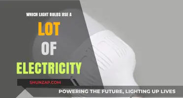 High-Wattage Light Bulbs: Which Ones Drain the Most Electricity?