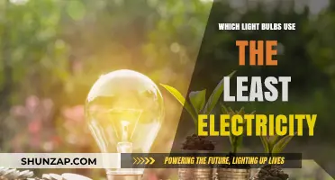 Energy-Efficient Lighting: Top Low-Wattage Bulbs to Cut Electricity Costs