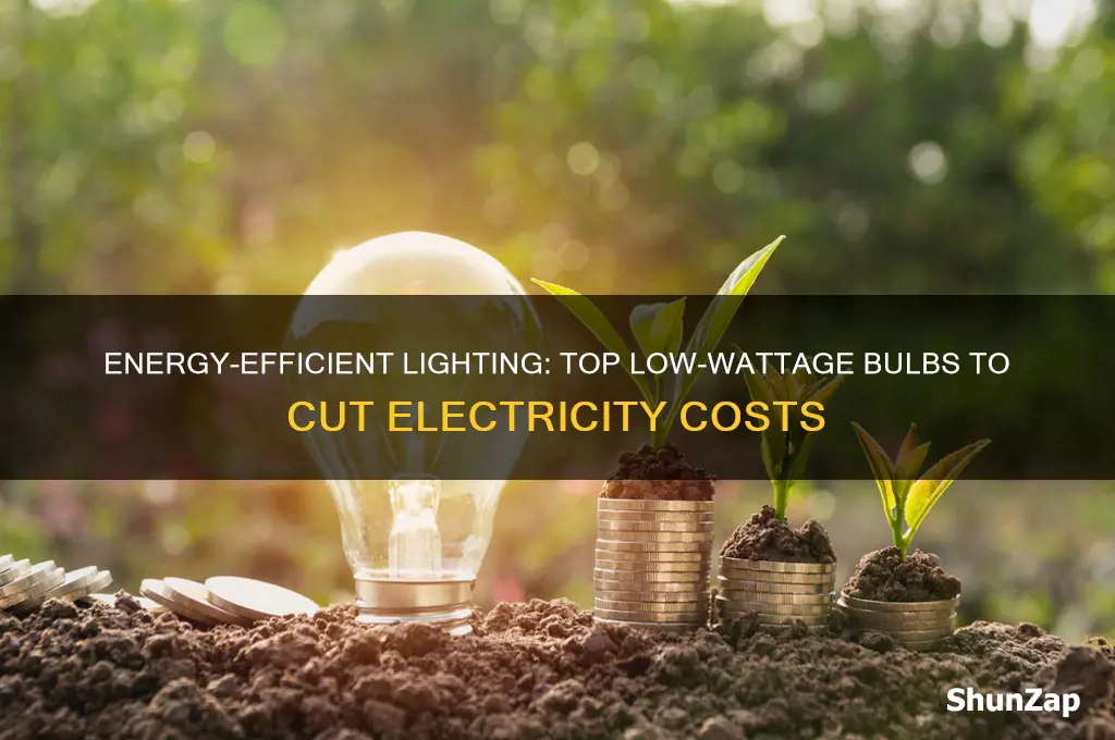 which light bulbs use the least electricity