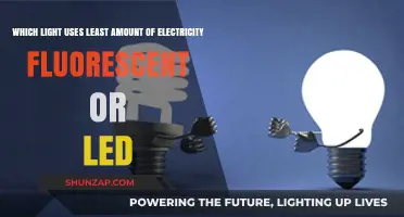 Fluorescent vs. LED: Which Light Bulb Saves More Energy?