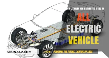 Lithium-Ion Battery Types Powering Today's Electric Vehicles: A Comprehensive Guide