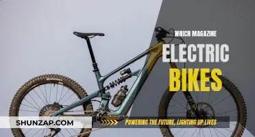 Electric Bike Reviews: Which Magazine's Top Picks