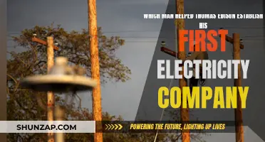 Who Supported Edison's First Electricity Company?