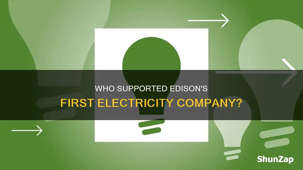 which man helped thomas edison establish his first electricity company