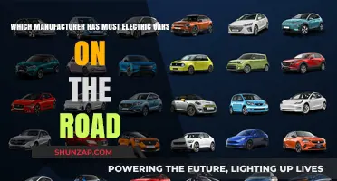 Leading the Charge: Which Car Manufacturer Dominates Electric Road Presence?