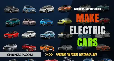 Top Electric Car Manufacturers Shaping the Future of Sustainable Transportation
