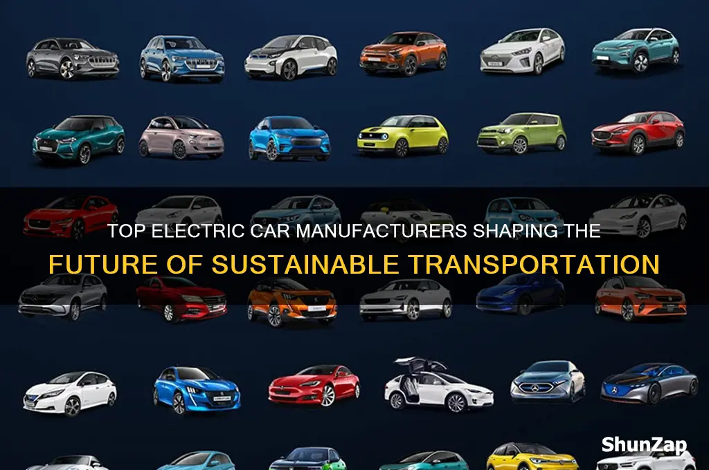 which manufacturers make electric cars