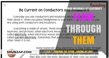 Electricity Flow: What Materials Conduct?