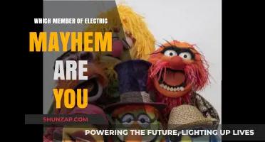 Who's Your Muppet Match in Electric Mayhem?