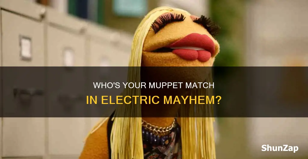 which member of electric mayhem are you