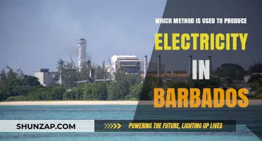 Barbados' Electricity Generation: Exploring the Primary Methods and Sources