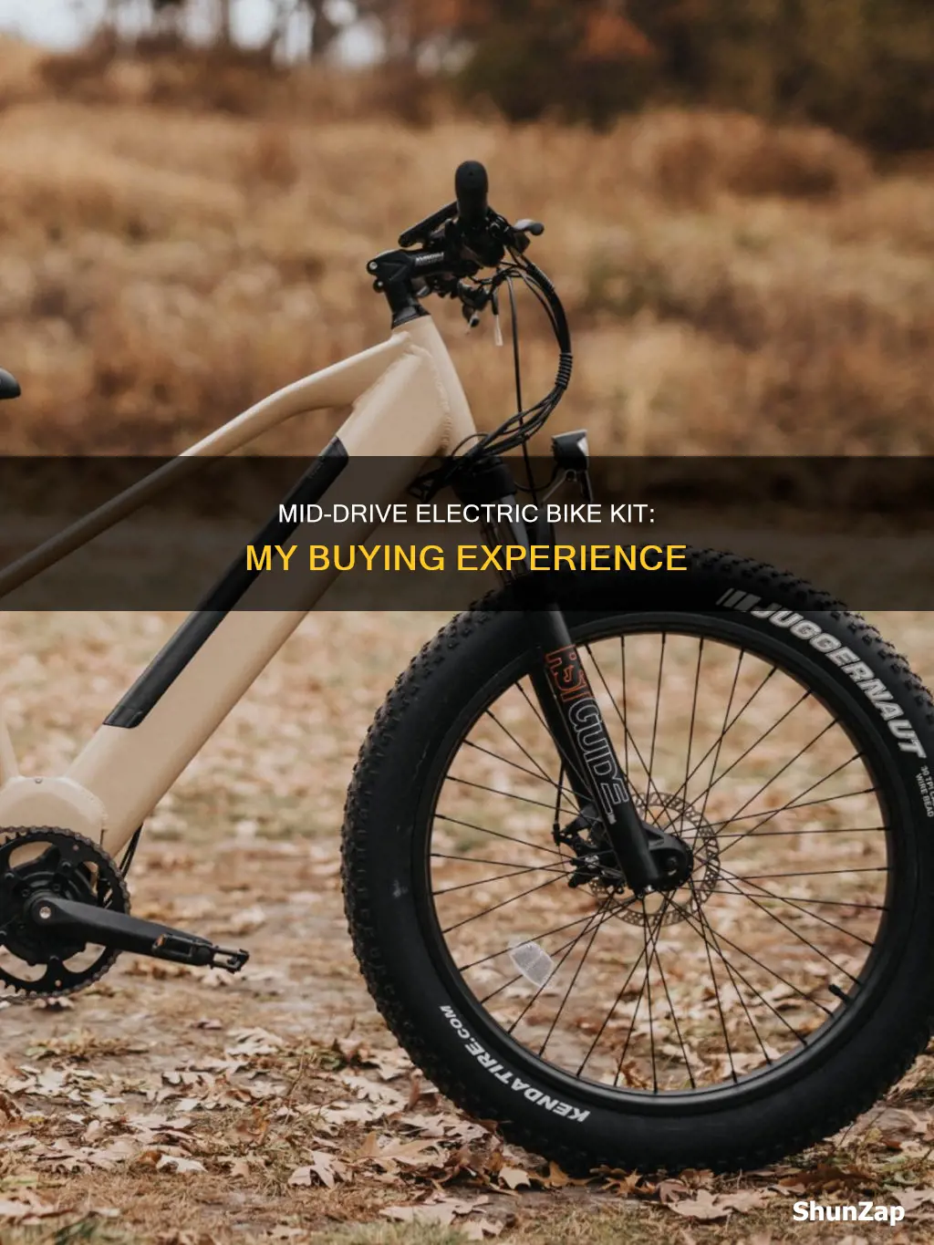 which mid drive electric bike kit did you buy