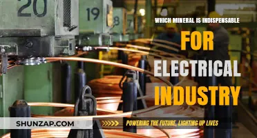 The Electrical Industry's Indispensable Mineral Resource