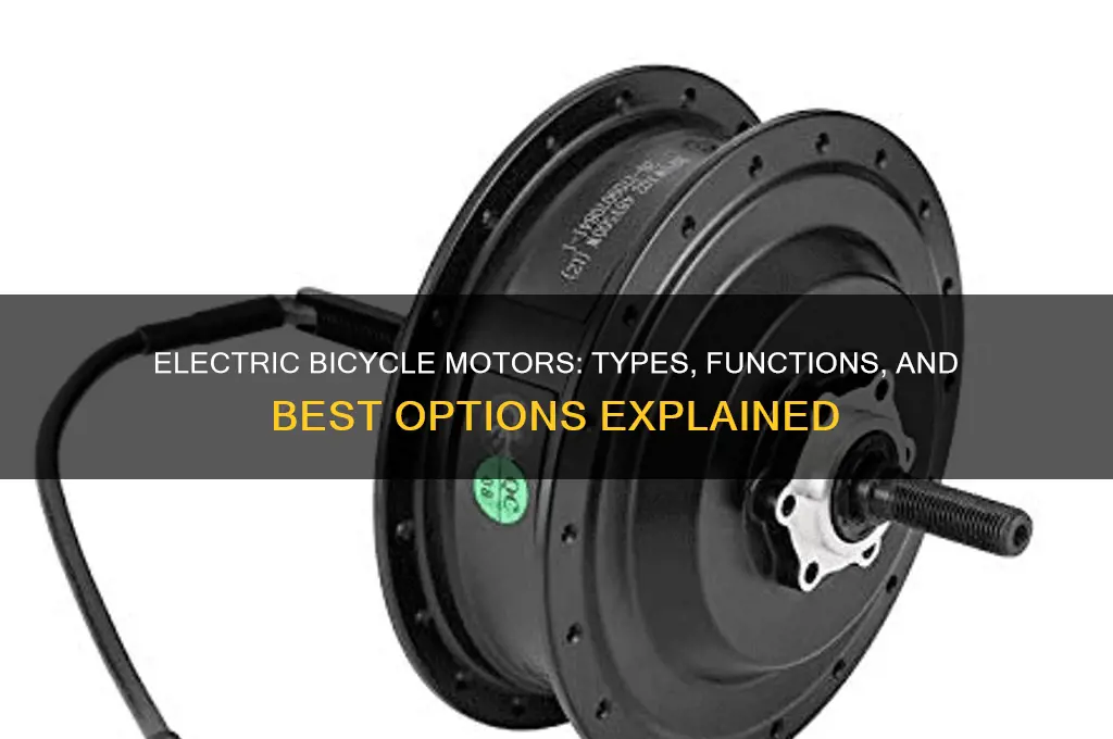 which motor is used in electric bicycle