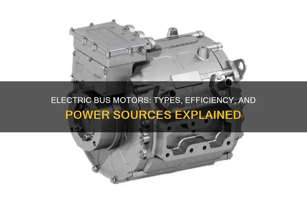 which motor is used in electric bus