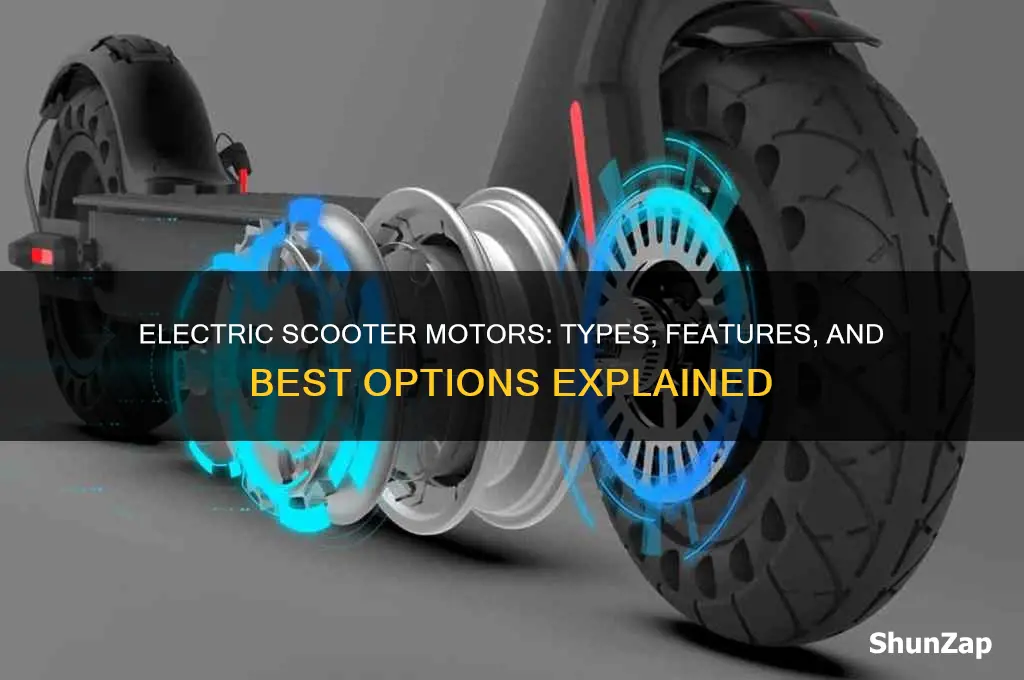 which motor is used in electric scooter