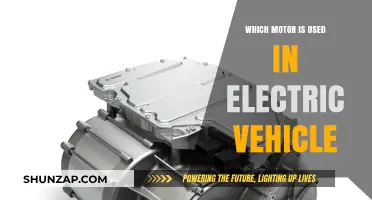 Electric Vehicle Motors: Types, Functions, and Best Options Explained