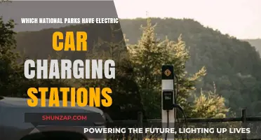 Eco-Friendly Road Trips: National Parks with Electric Car Charging Stations