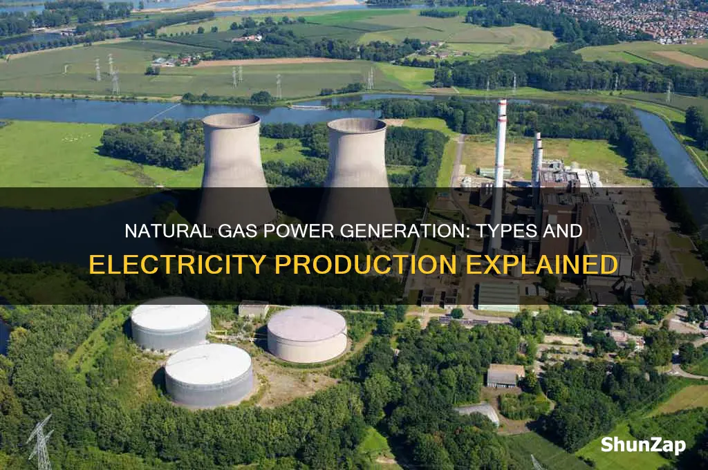 which natural gas is used to generate electricity