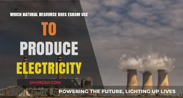 Eskom's Power Source: The Natural Resource Fueling South Africa's Electricity