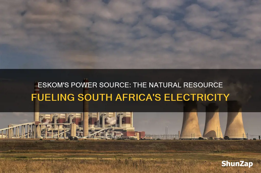 which natural resource does eskom use to produce electricity