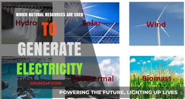 Harnessing Nature's Power: Key Natural Resources for Electricity Generation