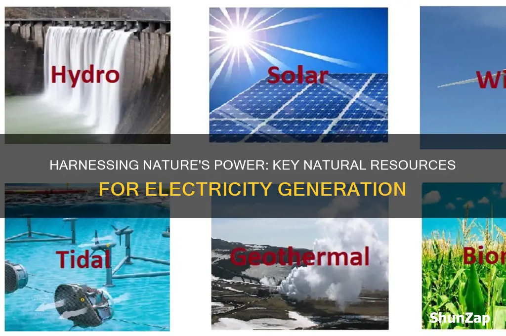 which natural resources are used to generate electricity