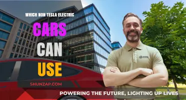 Top Non-Tesla Electric Vehicles Compatible with Tesla Charging Networks