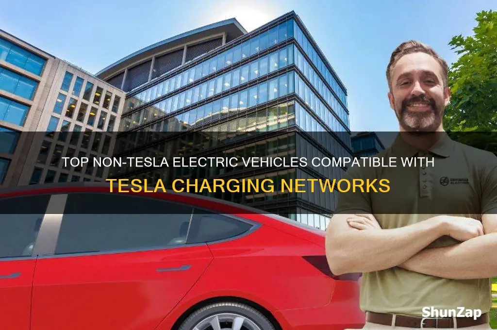 which non tesla electric cars can use