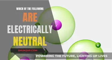 Electrically Neutral Entities: Understanding the Uncharged Nature