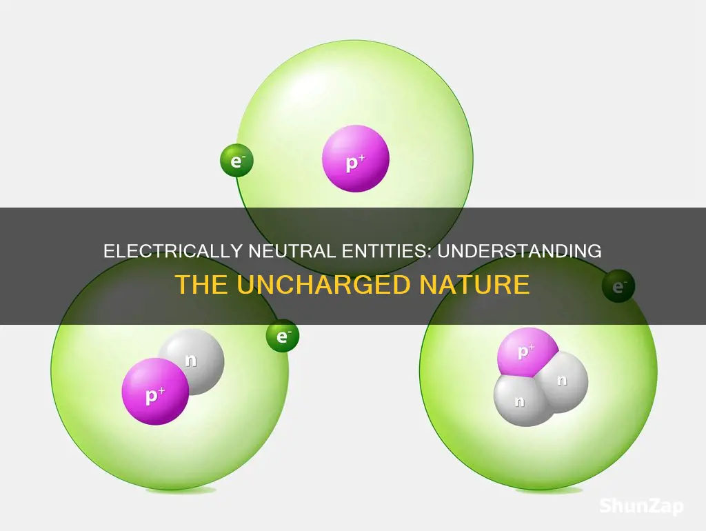 which of the following are electrically neutral