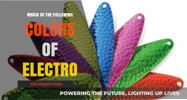 Electro's Colorful World: Which One Is Yours?
