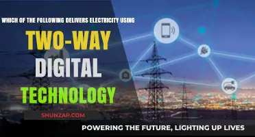 Smart Grids: Two-Way Digital Technology Revolutionizing Electricity Delivery
