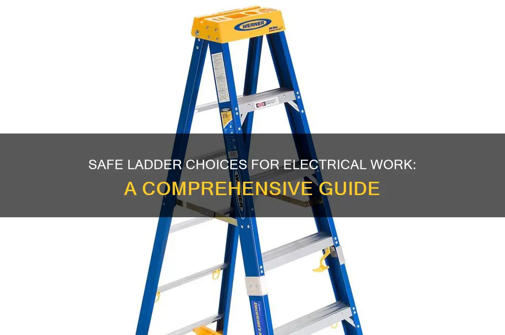 which of the following ladders can be used around electricity
