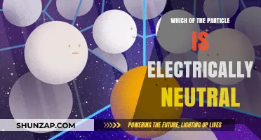 Electrically Neutral Particles: Exploring Nature's Intriguing Neutrals
