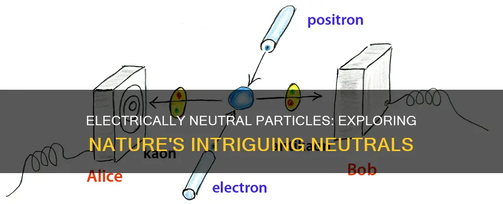 which of the particle is electrically neutral