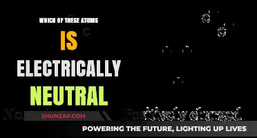 Electrically Neutral Atoms: What Makes Them Balanced?