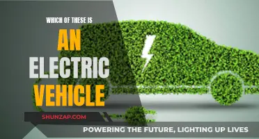 Unveiling the Electric Vehicle: A Comprehensive Guide