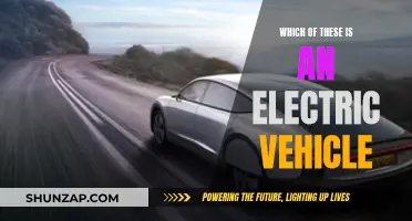 The Future of Electric Vehicles: Which Cars are Electric?