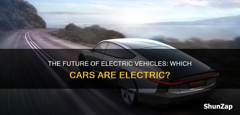 which of these is an electric vehicle