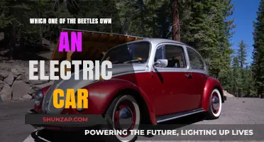 Beetles and Electric Cars: Unveiling the Eco-Friendly Bug Owner