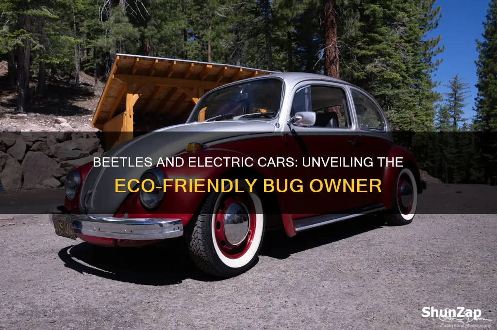 which one of the beetles own an electric car