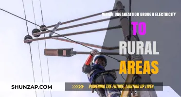 Rural Electrification: Who Brought Power to the People?