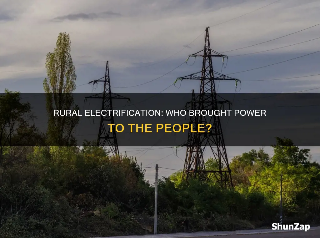 which organization brough electricity to rural areas