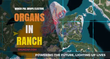 Electric Organs: Ranch's Pal Drops