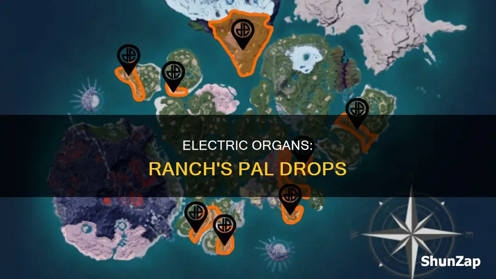 which pal drops electric organs in ranch