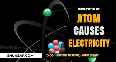 The Charged Nature of Electricity and Atoms